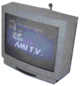 AmiTV Unit