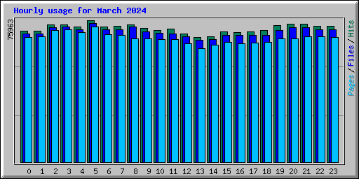 Hourly usage for March 2024