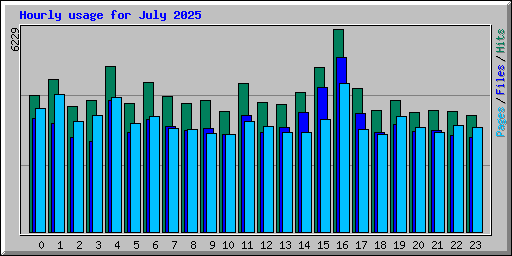 Hourly usage for July 2025