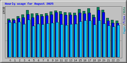 Hourly usage for August 2025
