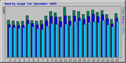 Hourly usage for December 2025