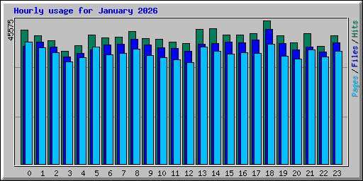 Hourly usage for January 2026