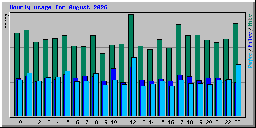 Hourly usage for August 2026